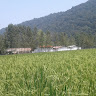 Omidreza Tofanian