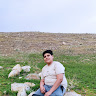 Taha