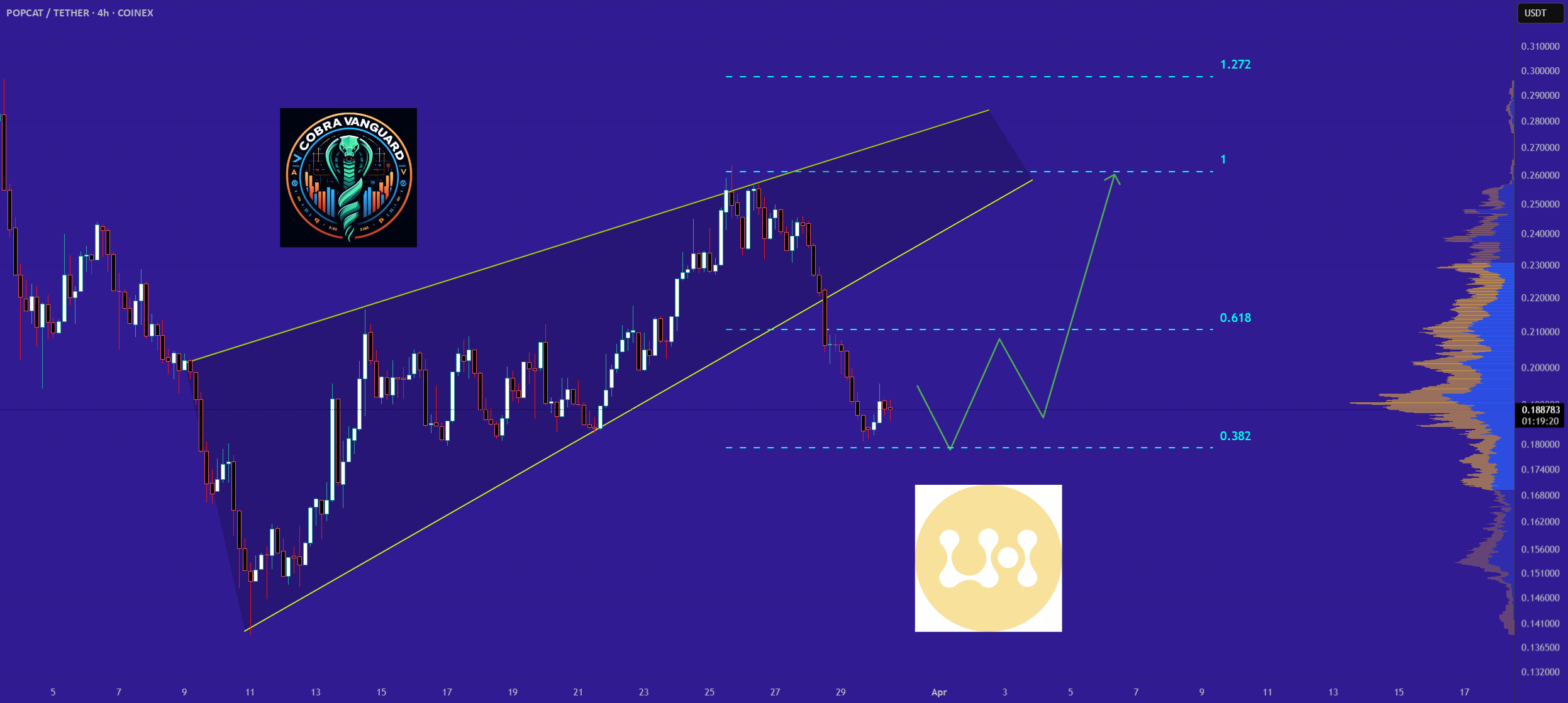 پاپ‌کت پس از نزول. حالا چه انتظاراتی داریم؟