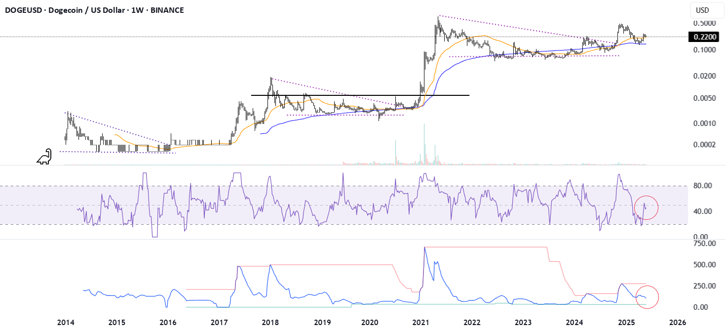 چند روش مختلف برای بررسی قیمت امروز ارز داج (DOGE)