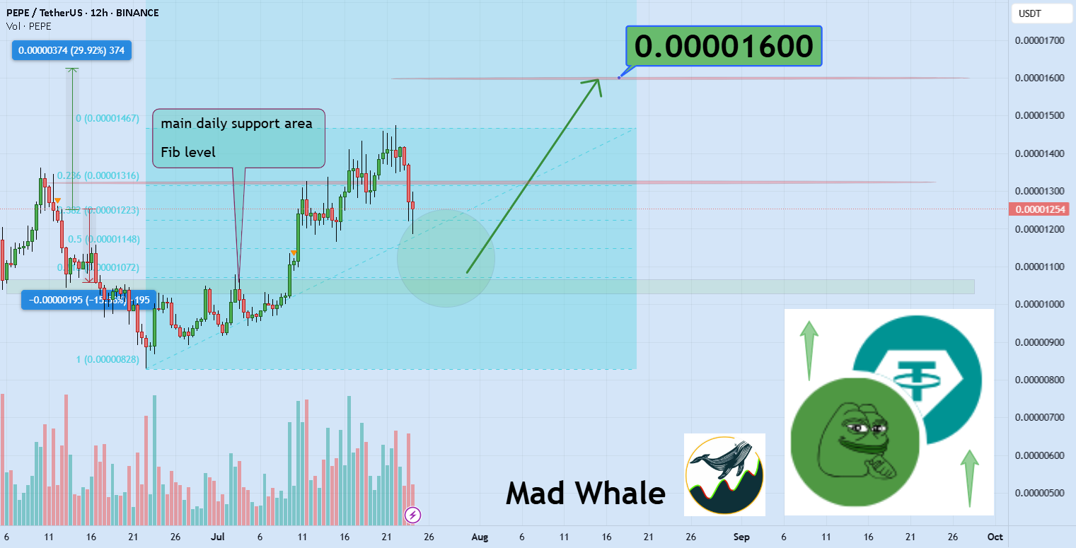 پرش یا فروپاشی؟ PEPE به هدف 0.000016 نگاه می‌کند! 38% پرش