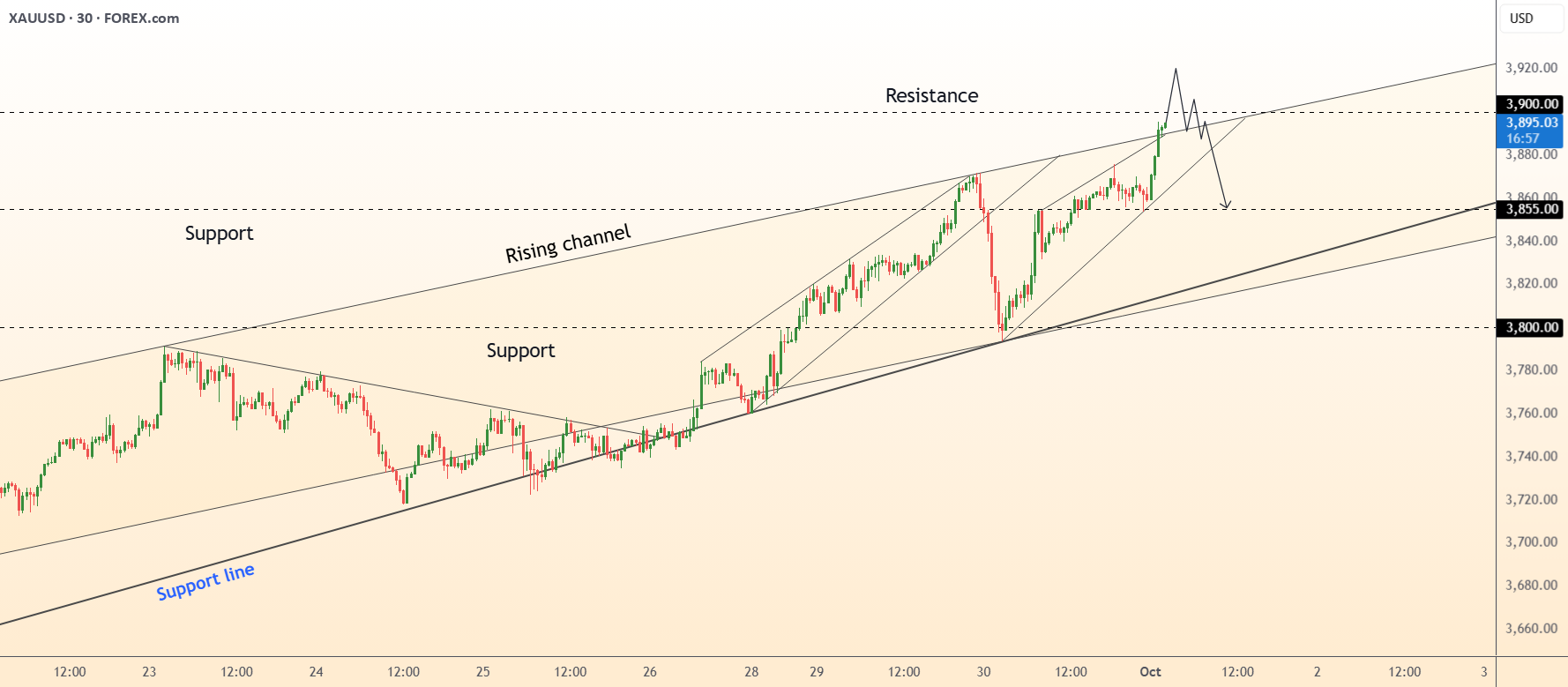 DeGRAM | GOLD نزدیک سطح 3900 دلار است.