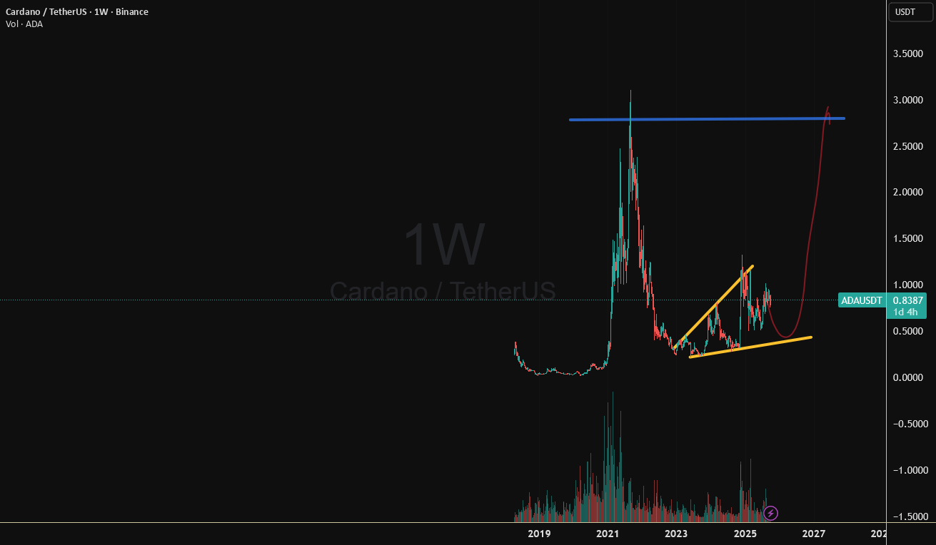 پایین تقریبا اینجاست!