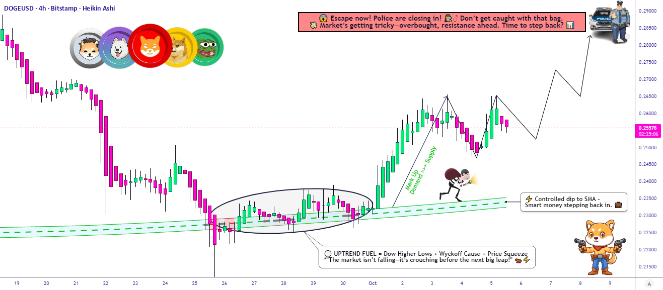 آیا DOGE/USD: توانمندی خرگوشی یا منطقه تله دیگری در پیش است؟