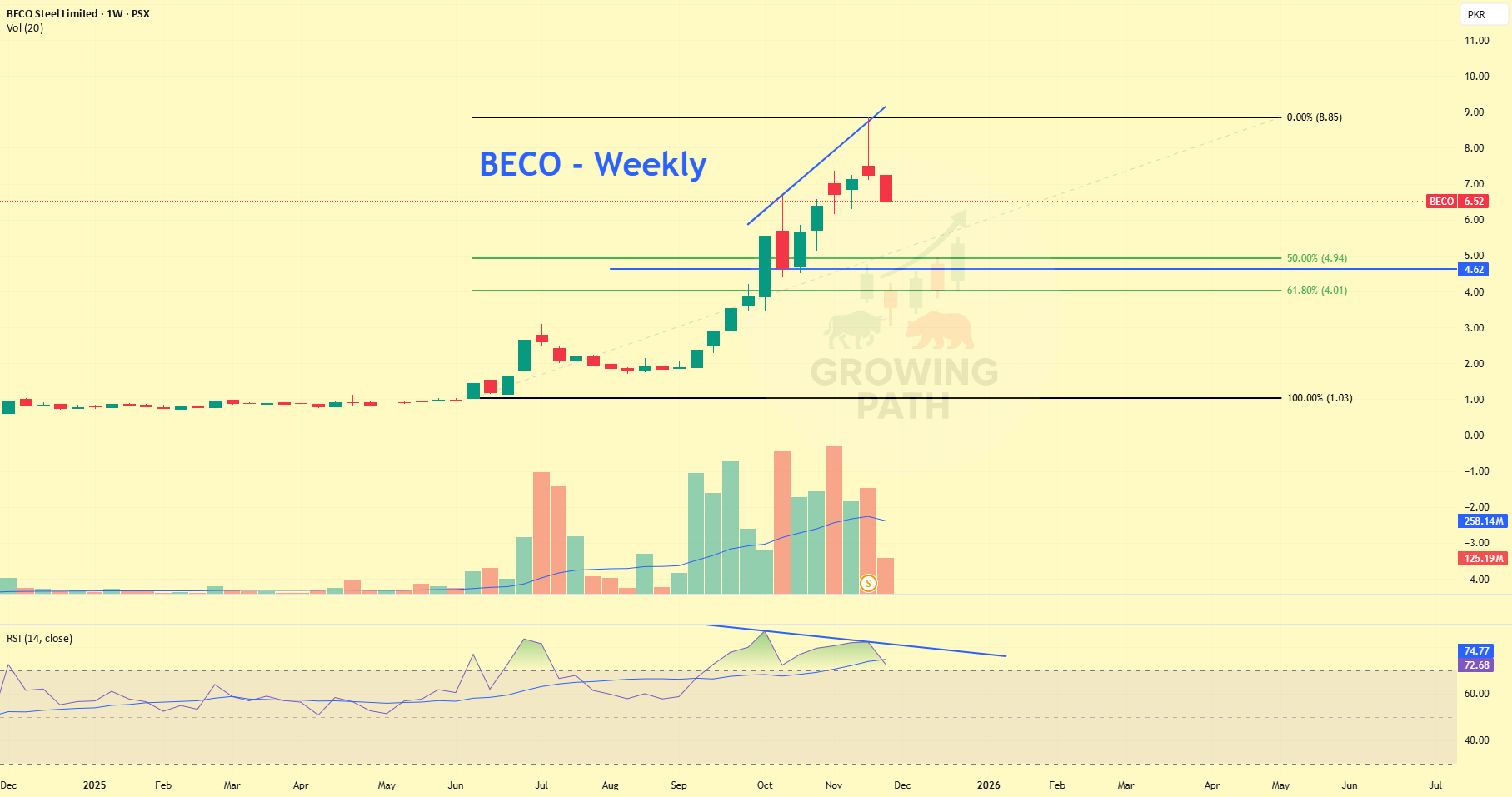 BECO - هفتگی | اختلاف خرسی + آزمون پشتیبانی منطقه طلایی